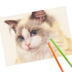 Weibo Colour Pencils 12 Colors WB-9032 – High Quality Color Pigments (Firm & Smooth) Kids Colour Pencil Set - Image 2