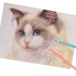 Weibo Sweet Time Pastel Colored Pencils Set – Soft Color Drawing Pencils for Students & Creative Art - Image 2