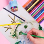 Weibo 24 Color Pencils Set WB-95303 – Bright Pigment Hexagonal Colored Pencils in Drum Tube - Image 5